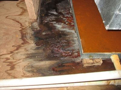 About water damage restoration service - emergency water extraction services experts in Chicopee